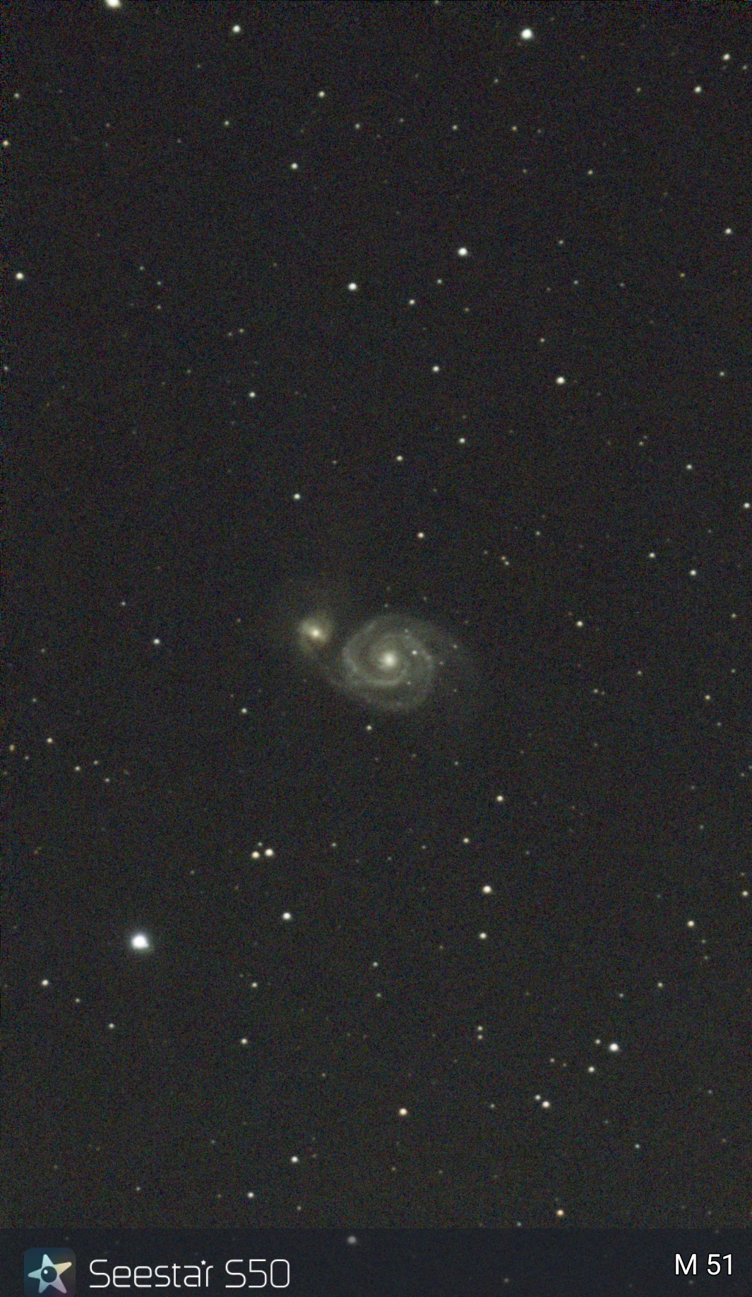 M31