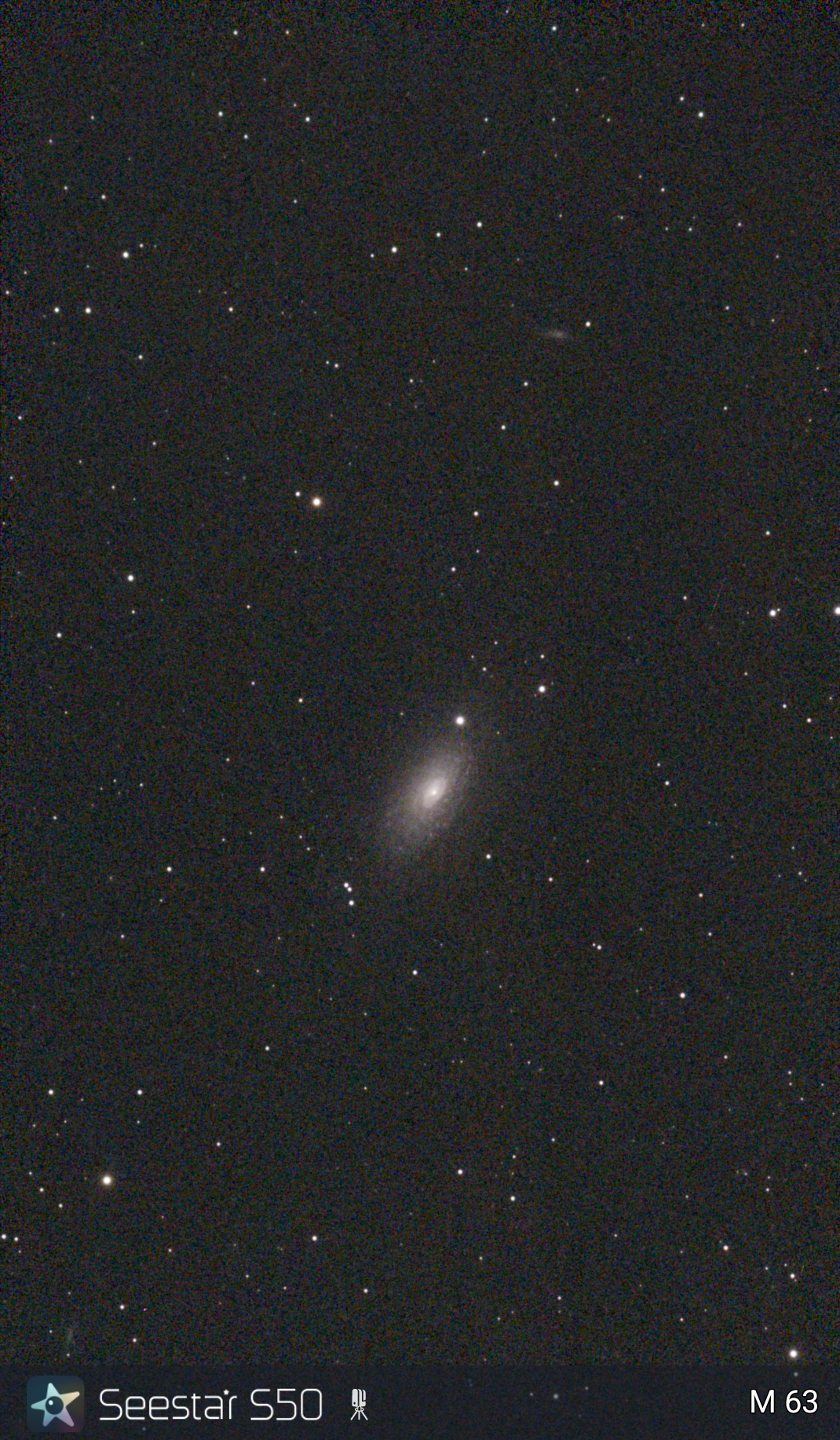 M31