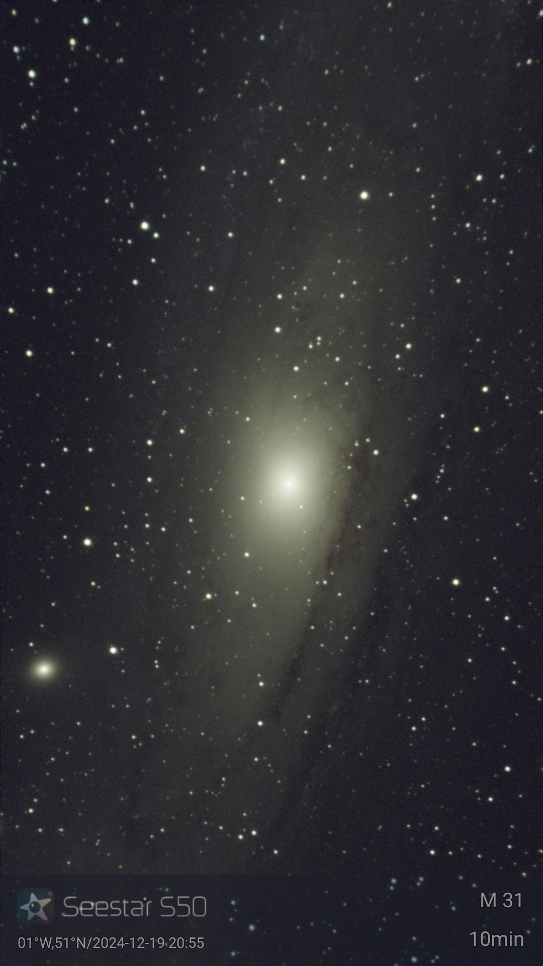 M31